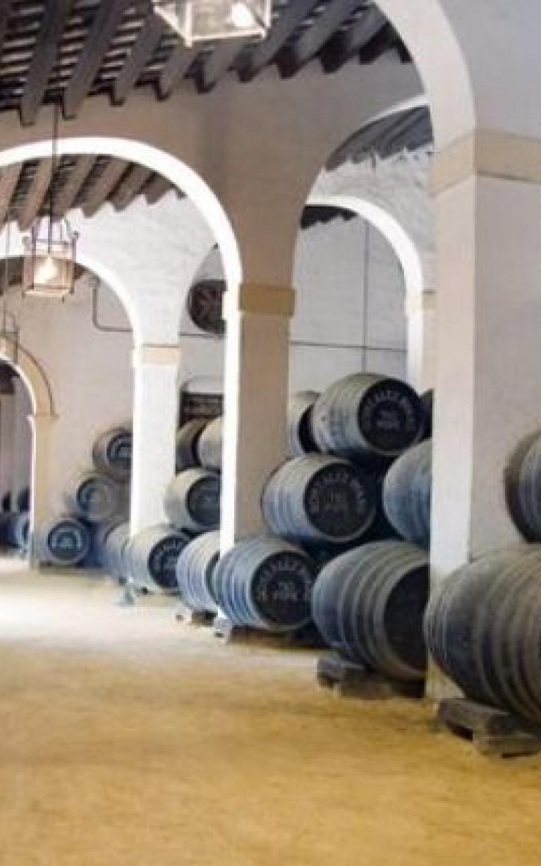 Bodega Tío Pepe