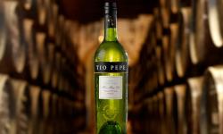 Visita Tio Pepe Bodega Tio Pepe