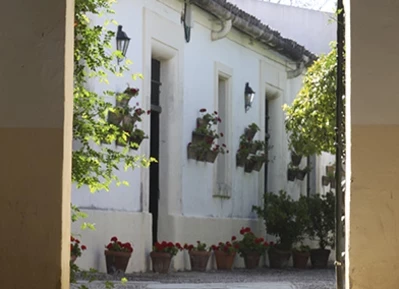 Jerez